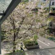 ヒメ日記 2026/04/18 08:20 投稿 えあ THE ESUTE 五反田店