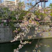 ヒメ日記 2026/04/20 08:20 投稿 えあ THE ESUTE 五反田店