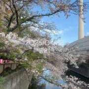 ヒメ日記 2026/04/22 10:20 投稿 えあ THE ESUTE 五反田店