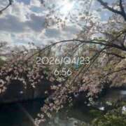 ヒメ日記 2026/04/23 09:03 投稿 えあ THE ESUTE 五反田店