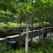 ヒメ日記 2026/05/30 09:20 投稿 えあ THE ESUTE 五反田店