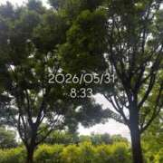 ヒメ日記 2026/05/31 09:06 投稿 えあ THE ESUTE 五反田店