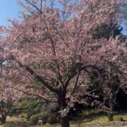 ヒメ日記 2025/02/28 19:07 投稿 えあ THE ESUTE 渋谷