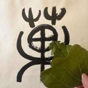 ヒメ日記 2025/05/01 15:17 投稿 えあ THE ESUTE 渋谷