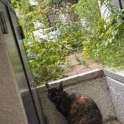 ヒメ日記 2025/07/01 08:37 投稿 えあ THE ESUTE 渋谷