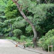 ヒメ日記 2025/07/14 08:57 投稿 えあ THE ESUTE 渋谷