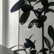 ヒメ日記 2026/01/22 09:47 投稿 えあ THE ESUTE 渋谷