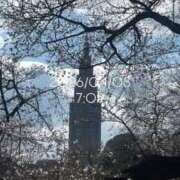 ヒメ日記 2026/04/08 08:17 投稿 えあ THE ESUTE 渋谷