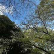 ヒメ日記 2026/04/09 08:17 投稿 えあ THE ESUTE 渋谷