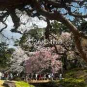 ヒメ日記 2026/04/10 08:17 投稿 えあ THE ESUTE 渋谷