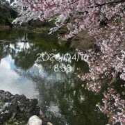 ヒメ日記 2026/04/16 08:57 投稿 えあ THE ESUTE 渋谷