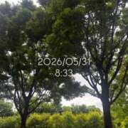 ヒメ日記 2026/05/31 09:12 投稿 えあ THE ESUTE 渋谷