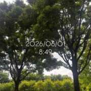 ヒメ日記 2026/06/01 10:07 投稿 えあ THE ESUTE 渋谷