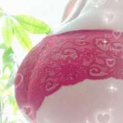 ヒメ日記 2025/02/06 10:04 投稿 ましろ 池袋おかあさん