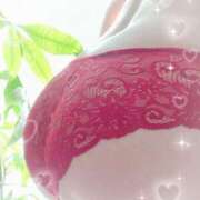 ヒメ日記 2025/06/28 06:14 投稿 ましろ 池袋おかあさん