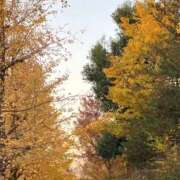 ヒメ日記 2025/12/05 22:59 投稿 ましろ 池袋おかあさん