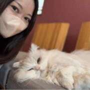 ヒメ日記 2025/03/02 19:44 投稿 わこ 梅田ゴールデン倶楽部