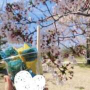 ヒメ日記 2025/04/13 18:05 投稿 わこ 梅田ゴールデン倶楽部