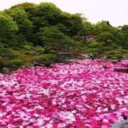 ヒメ日記 2025/05/05 23:54 投稿 わこ 梅田ゴールデン倶楽部