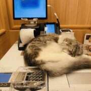 ヒメ日記 2025/07/18 12:24 投稿 わこ 梅田ゴールデン倶楽部