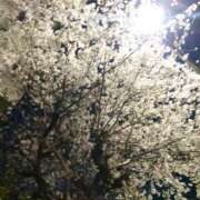 ヒメ日記 2025/04/12 15:02 投稿 ゆら 錦糸町 夜這右衛門娼店～夜這・即尺・痴漢・人妻～