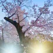 ヒメ日記 2026/03/30 10:53 投稿 ゆら 錦糸町 夜這右衛門娼店～夜這・即尺・痴漢・人妻～