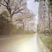 ヒメ日記 2026/04/03 11:57 投稿 ゆら 錦糸町 夜這右衛門娼店～夜這・即尺・痴漢・人妻～