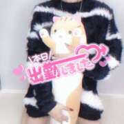 ヒメ日記 2024/12/15 18:24 投稿 しおり 素敵な女の子は好きですか？