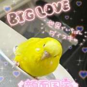 ヒメ日記 2025/03/13 20:18 投稿 しおり 素敵な女の子は好きですか？