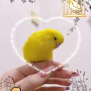 ヒメ日記 2025/03/23 18:18 投稿 しおり 素敵な女の子は好きですか？