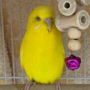 ヒメ日記 2025/03/27 12:33 投稿 しおり 素敵な女の子は好きですか？