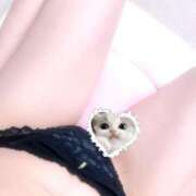 ヒメ日記 2025/04/06 12:20 投稿 しおり 素敵な女の子は好きですか？