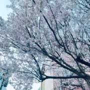 ヒメ日記 2025/04/07 21:18 投稿 しおり 素敵な女の子は好きですか？