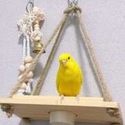 ヒメ日記 2025/04/17 08:18 投稿 しおり 素敵な女の子は好きですか？