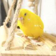 ヒメ日記 2025/04/21 18:33 投稿 しおり 素敵な女の子は好きですか？