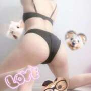 ヒメ日記 2025/04/25 23:27 投稿 しおり 素敵な女の子は好きですか？