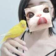 ヒメ日記 2025/05/06 21:34 投稿 しおり 素敵な女の子は好きですか？