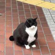 ヒメ日記 2025/05/07 16:33 投稿 しおり 素敵な女の子は好きですか？