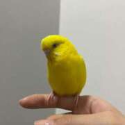 ヒメ日記 2025/05/07 20:42 投稿 しおり 素敵な女の子は好きですか？