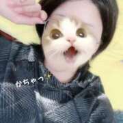 ヒメ日記 2025/05/08 06:42 投稿 しおり 素敵な女の子は好きですか？