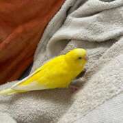 ヒメ日記 2025/06/04 15:13 投稿 しおり 素敵な女の子は好きですか？