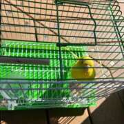 ヒメ日記 2025/06/07 12:42 投稿 しおり 素敵な女の子は好きですか？