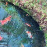 ヒメ日記 2025/06/13 14:18 投稿 しおり 素敵な女の子は好きですか？