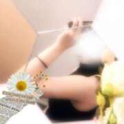 ヒメ日記 2025/06/14 11:42 投稿 しおり 素敵な女の子は好きですか？