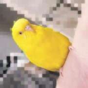 ヒメ日記 2025/06/17 19:05 投稿 しおり 素敵な女の子は好きですか？