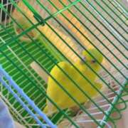 ヒメ日記 2025/06/18 15:33 投稿 しおり 素敵な女の子は好きですか？