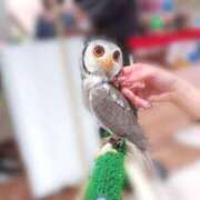 ヒメ日記 2025/06/19 17:33 投稿 しおり 素敵な女の子は好きですか？