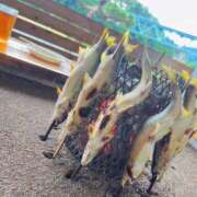 ヒメ日記 2025/06/23 17:12 投稿 しおり 素敵な女の子は好きですか？