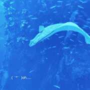 ヒメ日記 2025/06/26 17:04 投稿 しおり 素敵な女の子は好きですか？