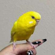 ヒメ日記 2025/06/28 19:48 投稿 しおり 素敵な女の子は好きですか？